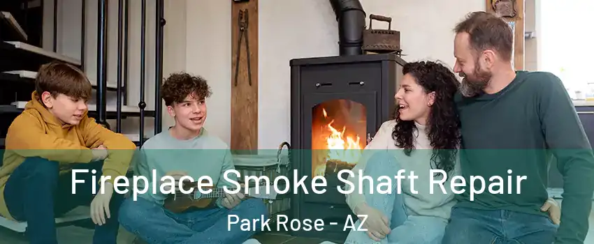 Fireplace Smoke Shaft Repair Park Rose - AZ