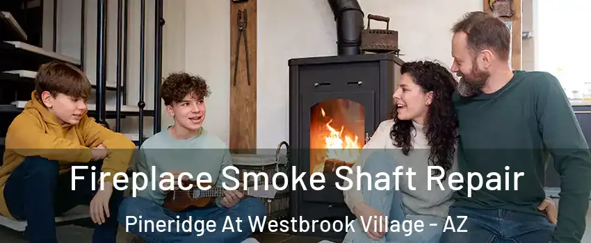 Fireplace Smoke Shaft Repair Pineridge At Westbrook Village - AZ