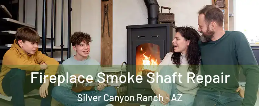 Fireplace Smoke Shaft Repair Silver Canyon Ranch - AZ
