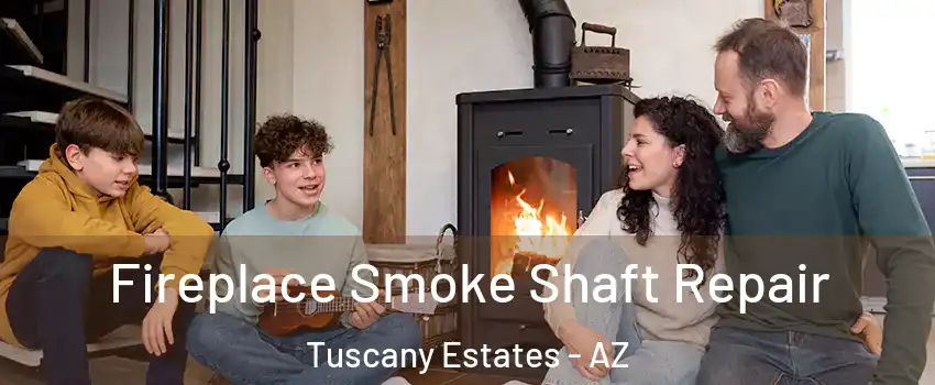 Fireplace Smoke Shaft Repair Tuscany Estates - AZ