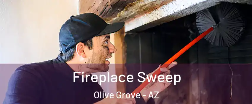 Fireplace Sweep Olive Grove - AZ