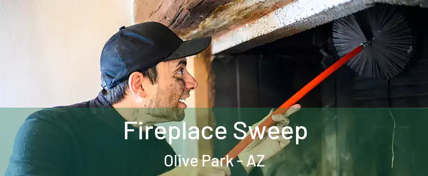 Fireplace Sweep Olive Park - AZ