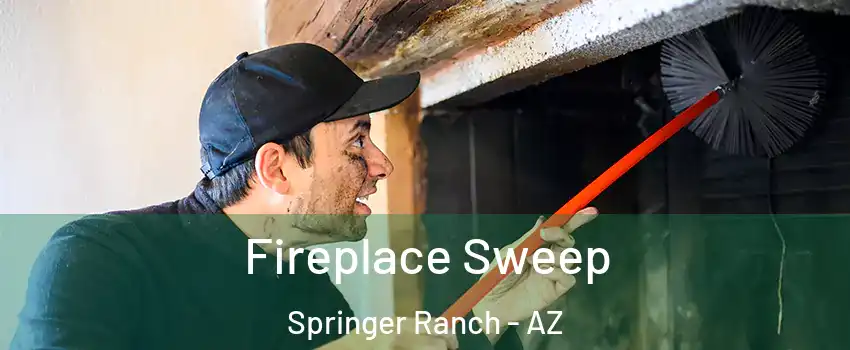 Fireplace Sweep Springer Ranch - AZ