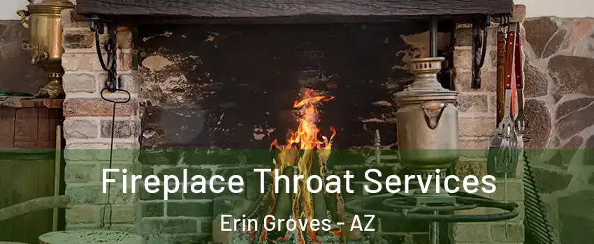 Fireplace Throat Services Erin Groves - AZ