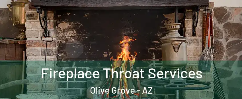Fireplace Throat Services Olive Grove - AZ