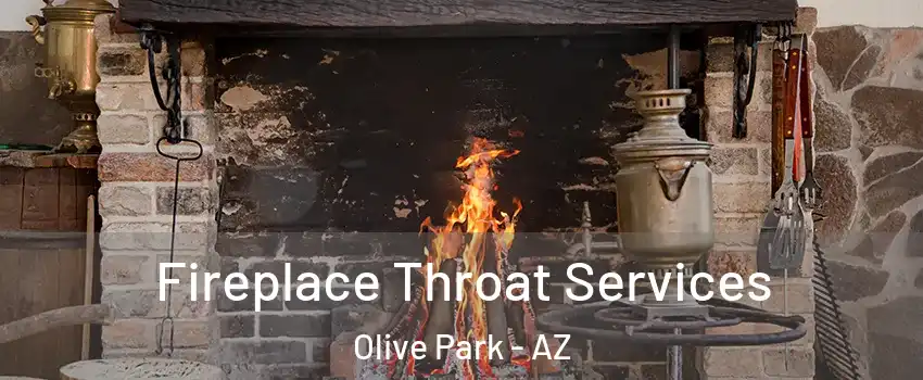 Fireplace Throat Services Olive Park - AZ