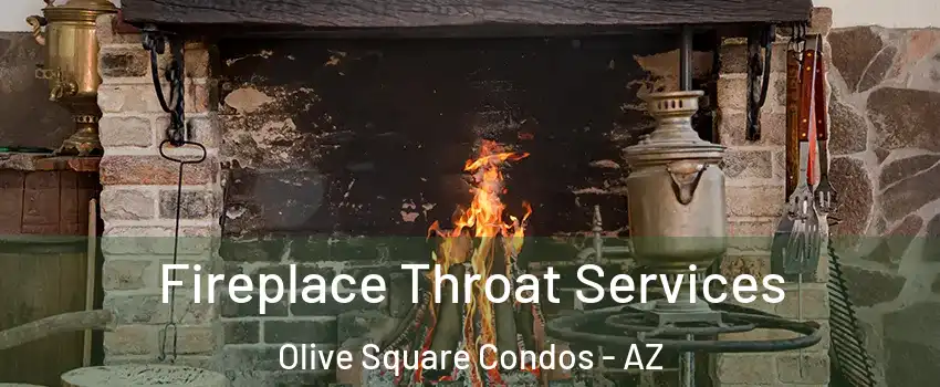 Fireplace Throat Services Olive Square Condos - AZ