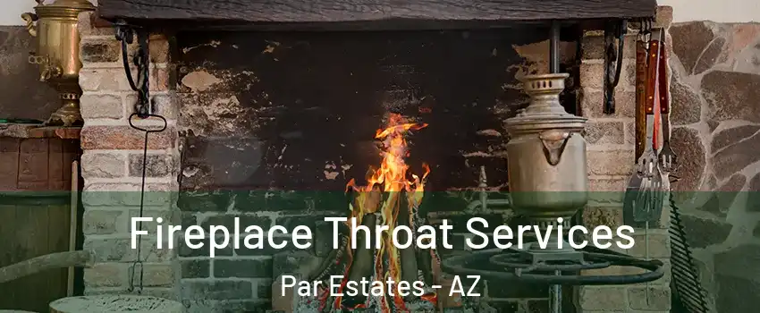 Fireplace Throat Services Par Estates - AZ