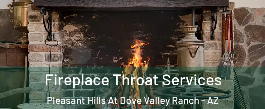 Fireplace Throat Services Pleasant Hills At Dove Valley Ranch - AZ
