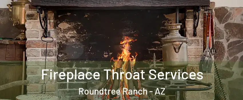 Fireplace Throat Services Roundtree Ranch - AZ