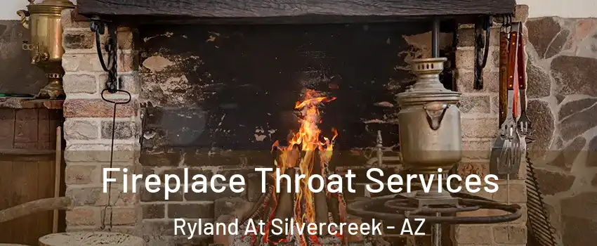 Fireplace Throat Services Ryland At Silvercreek - AZ