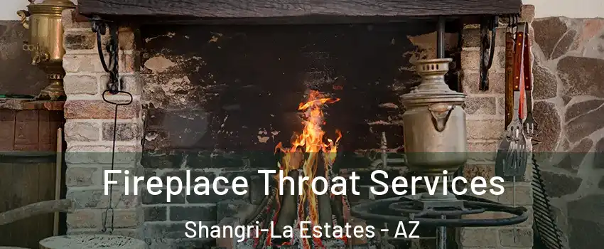 Fireplace Throat Services Shangri-La Estates - AZ