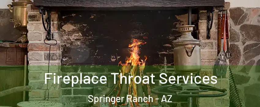 Fireplace Throat Services Springer Ranch - AZ