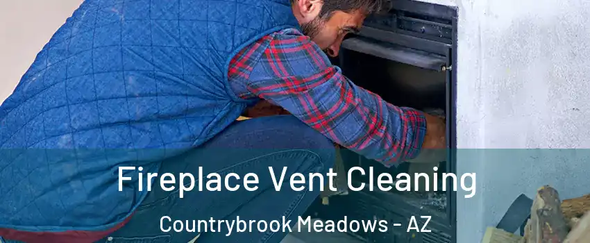 Fireplace Vent Cleaning Countrybrook Meadows - AZ