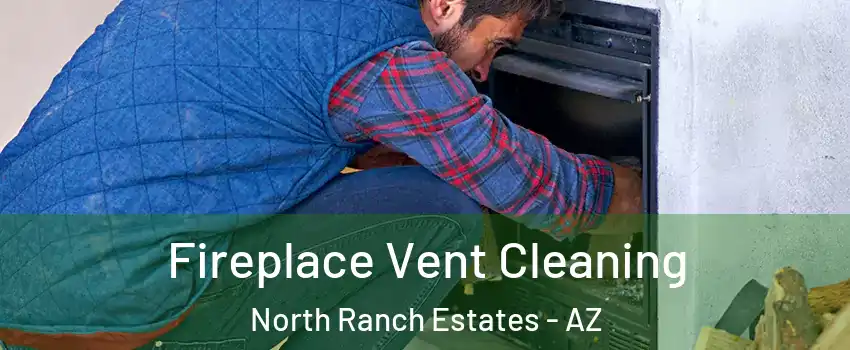 Fireplace Vent Cleaning North Ranch Estates - AZ