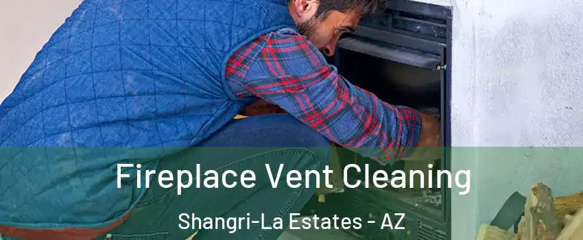 Fireplace Vent Cleaning Shangri-La Estates - AZ