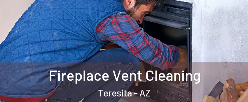 Fireplace Vent Cleaning Teresita - AZ