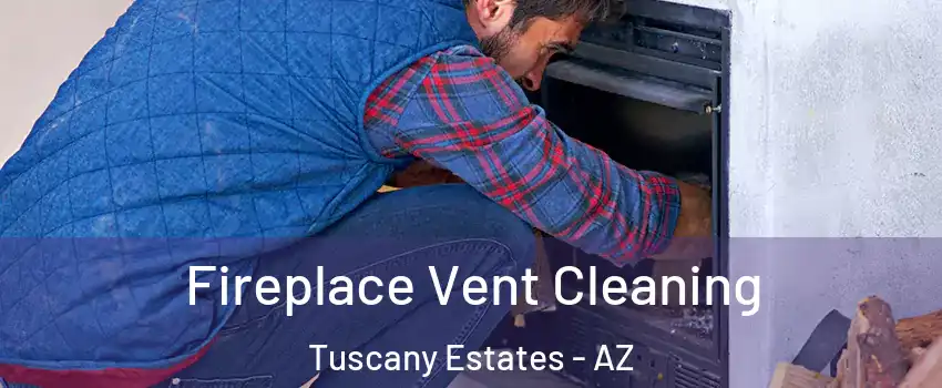 Fireplace Vent Cleaning Tuscany Estates - AZ