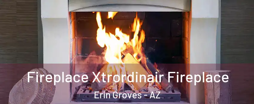 Fireplace Xtrordinair Fireplace Erin Groves - AZ