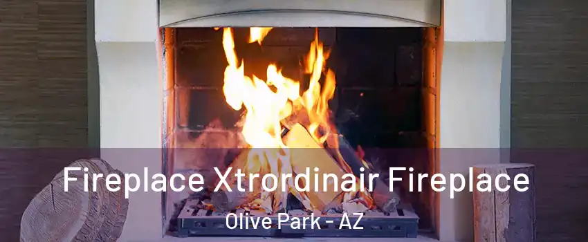 Fireplace Xtrordinair Fireplace Olive Park - AZ