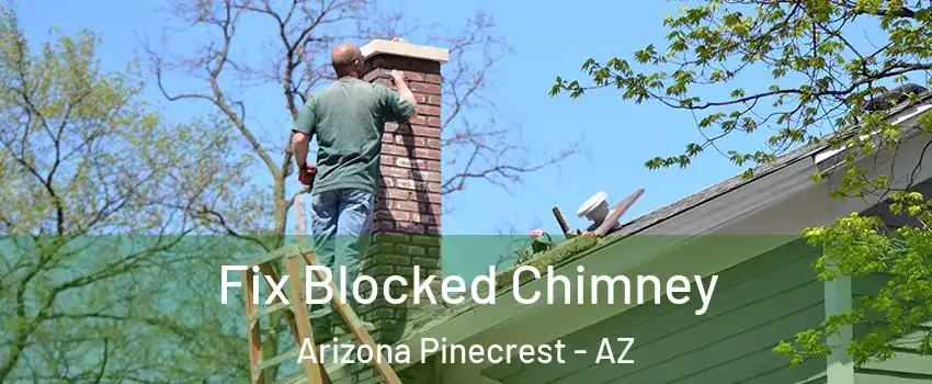 Fix Blocked Chimney Arizona Pinecrest - AZ