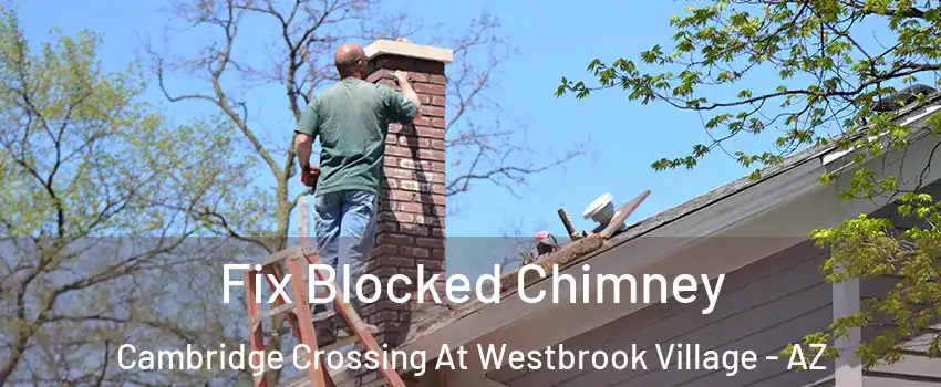 Fix Blocked Chimney Cambridge Crossing At Westbrook Village - AZ