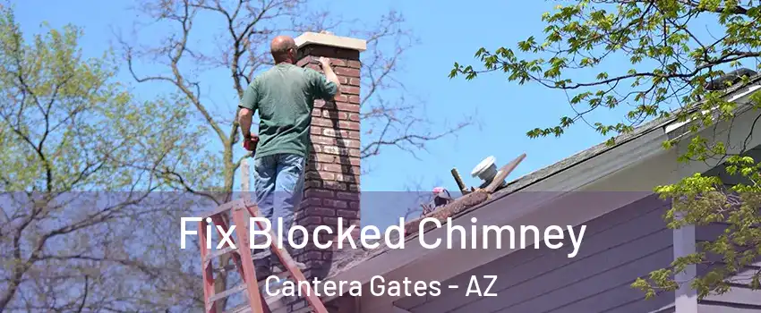 Fix Blocked Chimney Cantera Gates - AZ