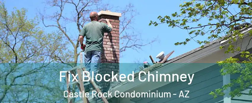 Fix Blocked Chimney Castle Rock Condominium - AZ