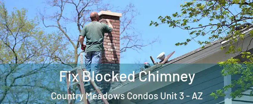 Fix Blocked Chimney Country Meadows Condos Unit 3 - AZ
