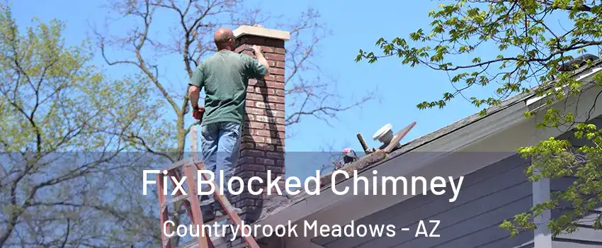 Fix Blocked Chimney Countrybrook Meadows - AZ