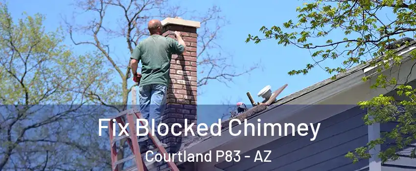 Fix Blocked Chimney Courtland P83 - AZ