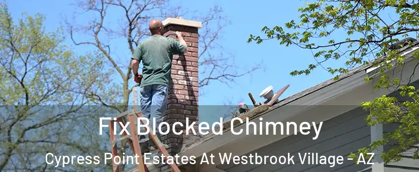 Fix Blocked Chimney Cypress Point Estates At Westbrook Village - AZ
