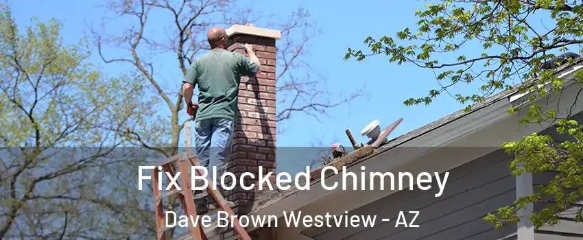 Fix Blocked Chimney Dave Brown Westview - AZ