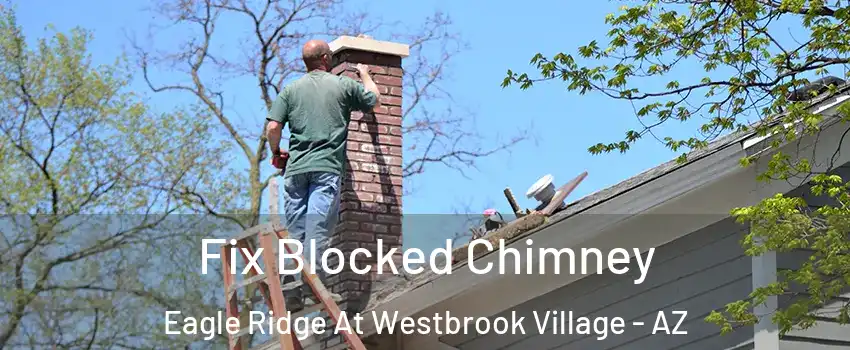 Fix Blocked Chimney Eagle Ridge At Westbrook Village - AZ