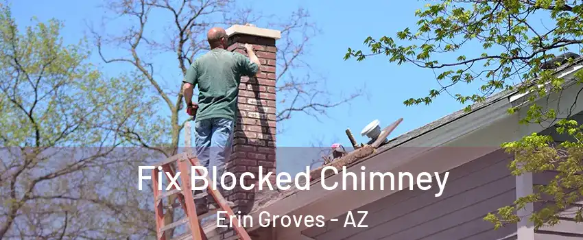 Fix Blocked Chimney Erin Groves - AZ