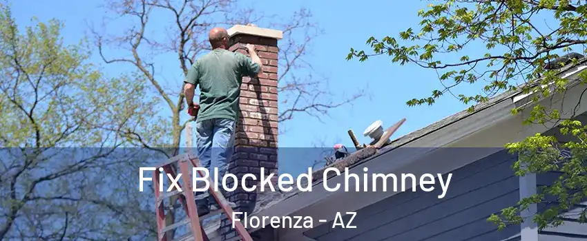 Fix Blocked Chimney Florenza - AZ