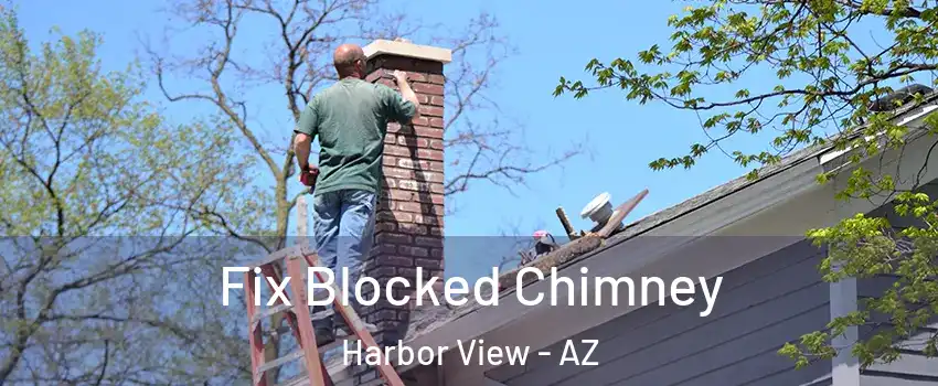 Fix Blocked Chimney Harbor View - AZ