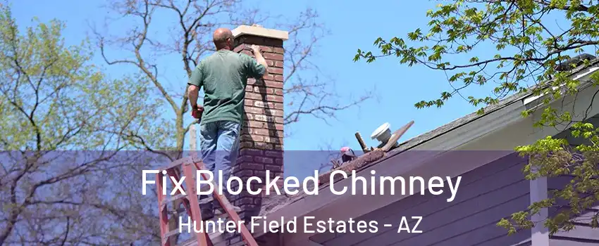 Fix Blocked Chimney Hunter Field Estates - AZ
