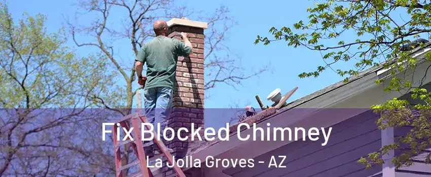 Fix Blocked Chimney La Jolla Groves - AZ