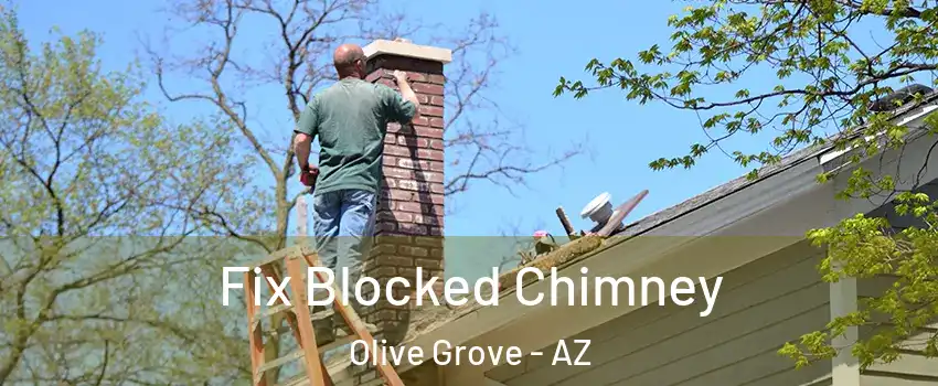 Fix Blocked Chimney Olive Grove - AZ