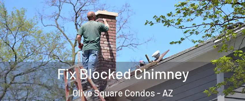 Fix Blocked Chimney Olive Square Condos - AZ