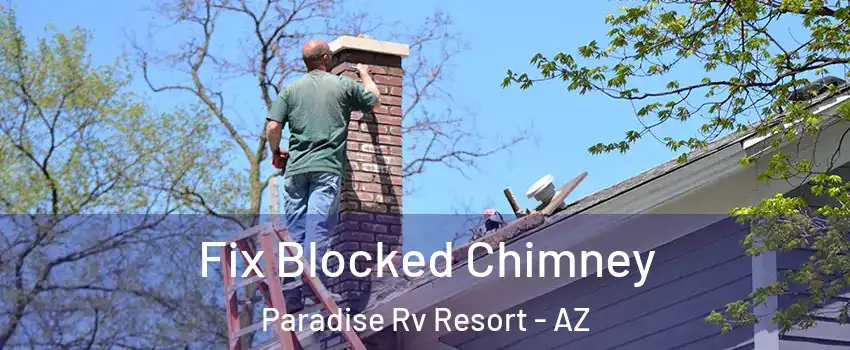 Fix Blocked Chimney Paradise Rv Resort - AZ