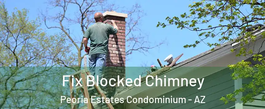 Fix Blocked Chimney Peoria Estates Condominium - AZ