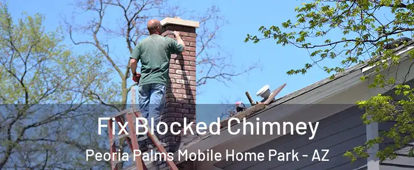 Fix Blocked Chimney Peoria Palms Mobile Home Park - AZ