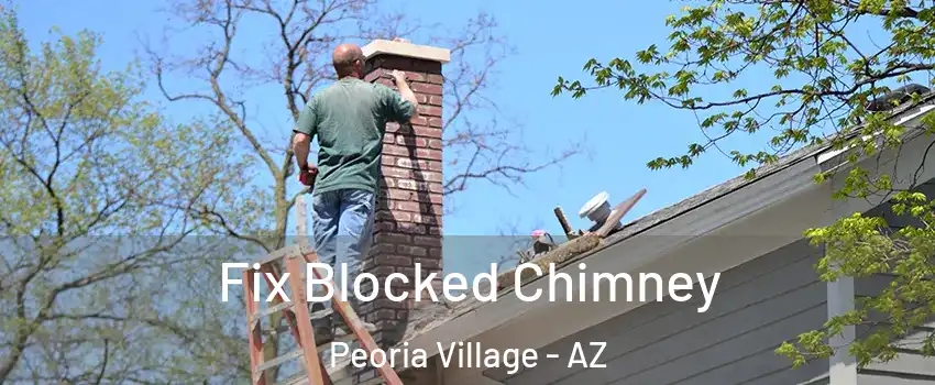 Fix Blocked Chimney Peoria Village - AZ