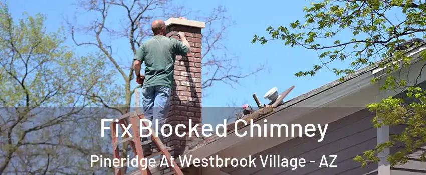 Fix Blocked Chimney Pineridge At Westbrook Village - AZ