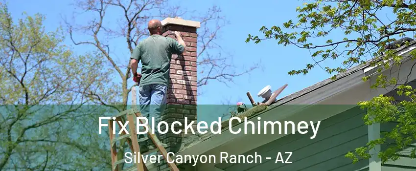 Fix Blocked Chimney Silver Canyon Ranch - AZ