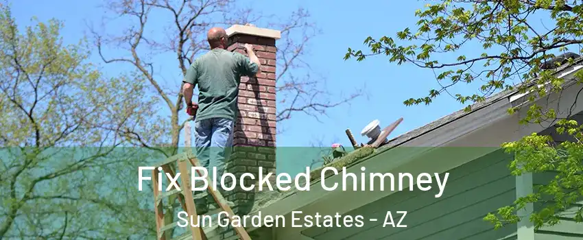 Fix Blocked Chimney Sun Garden Estates - AZ