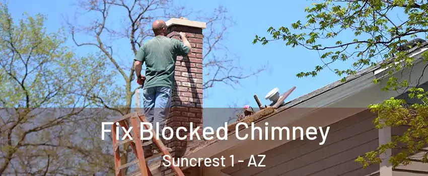 Fix Blocked Chimney Suncrest 1 - AZ