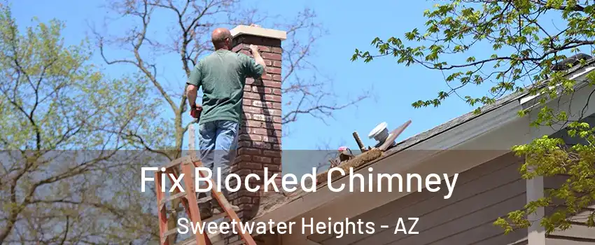 Fix Blocked Chimney Sweetwater Heights - AZ